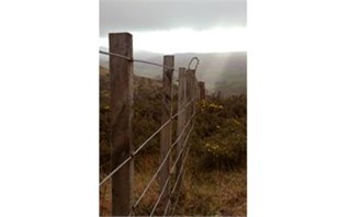 New Zealand Fence