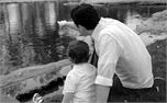 Father Son (265)
