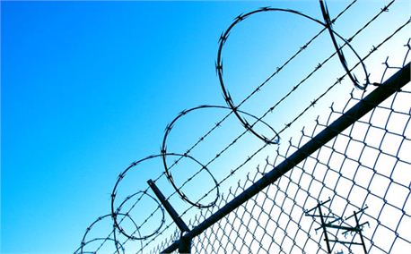 Barbed Wire (349)