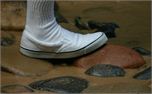 shoe (629)