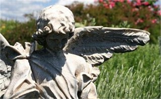 Angel of the field