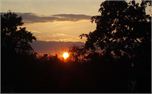 Suburban Sunset (1421)