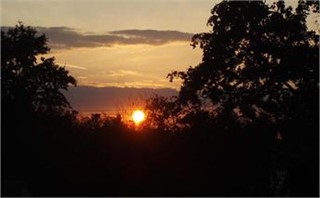Suburban Sunset