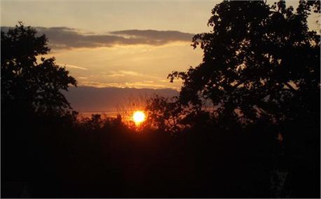 Suburban Sunset (1421)