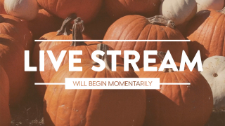 Pumpkin Film Live Stream