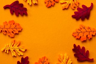 Fall Leaves