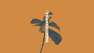 Happy Thanksgiving