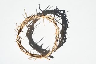 Crown of Thorns + Shadow