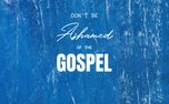 The gospel (103131)