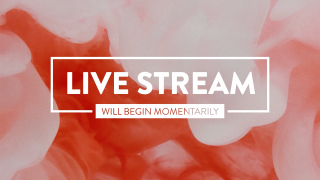 Valentine's Abstract Live