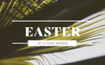 Easter Palms - Easter (104434)