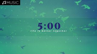 Birds 5 Minute Countdown