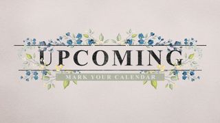 Petite Flowers : Upcoming