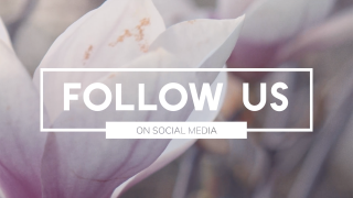 Purple Spring Social