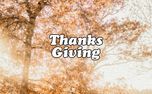 Thanksgiving 2: Social Graphic (109530)