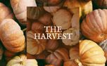 TheHarvest (109886)