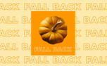 NP Fall Back (109902)