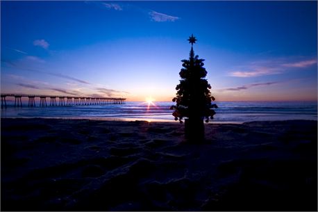 A Beach Christmas (11832)