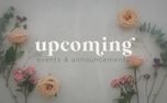 Florist : Upcoming (115123)