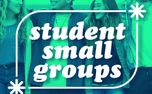 Student Small Groups (125203)