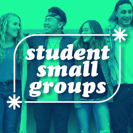 Student Small Groups (125203)
