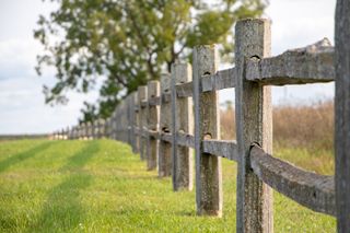 Media - Fence row | CreationSwap