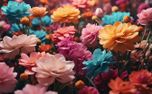 Flowers Background (127401)
