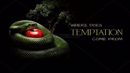 Media - Temptation Series | CreationSwap