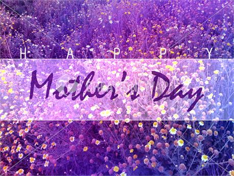 Mother's Day (14509)