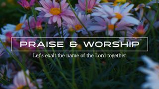 Praise and Worship