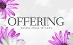 Mother's Day Flowers -OFFERING (147811)
