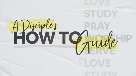 A Disciple's How To Guide (148000)