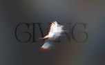 Holy Spirit : Giving (148808)