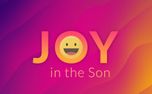 Joy In The Son (150386)