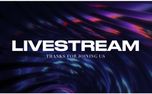 LiveStream (150408)