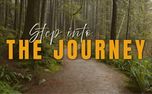 Step Into The Journey (150447)