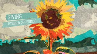 The Good News : Giving