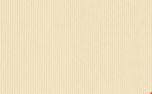 Fall Festival Donation Drop Of (150914)