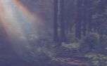 Fall Retreat: Sign Up Today (150955)