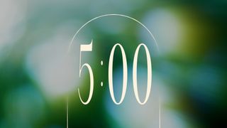 Forest Light : Countdown