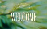Forest Light : Welcome (151137)