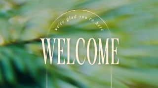 Forest Light : Welcome