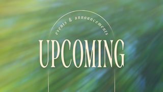Forest Light : Upcoming