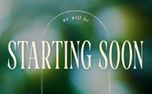 Forest Light : Starting Soon (151139)