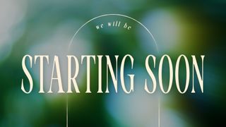 Forest Light : Starting Soon