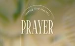 Forest Light : Prayer (151140)