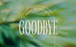 Forest Light : Goodbye (151141)