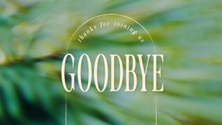 Forest Light : Goodbye