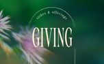 Forest Light : Giving (151143)
