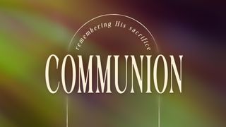Forest Light : Communion